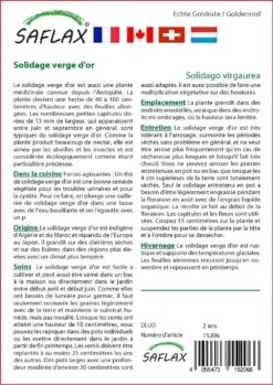 Kit De Culture - Solidage Verge D'or - 100 Graines - Solidago Virgaurea 8 Kit De Culture - Solidage Verge D'or - 100 Graines - Solidago Virgaurea -Jardinoux Soldes Magasin 640641b4d55022.73382482