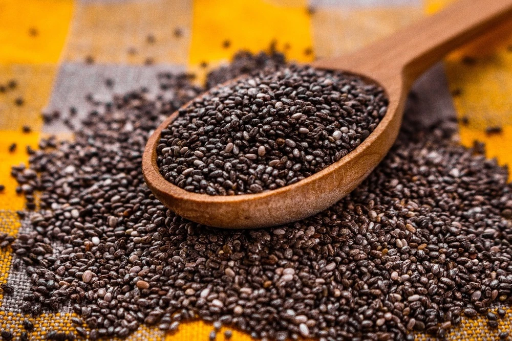 Kit De Culture - Bio - Sauge - 60 Graines - Salvia Officinalis 9 Kit De Culture - Bio - Sauge - 60 Graines - Salvia Officinalis – Image 7