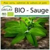Kit De Culture - Bio - Sauge - 60 Graines - Salvia Officinalis