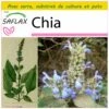 Kit De Culture - Chia - 500 Graines - Salvia Hispanica -Jardinoux Soldes Magasin 640641c58004a2.52147519
