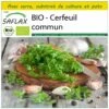 Kit De Culture - Bio - Cerfeuil Commun - 800 Graines - Anthriscus Cerefolium 2 Kit De Culture - Bio - Cerfeuil Commun - 800 Graines - Anthriscus Cerefolium -Jardinoux Soldes Magasin 640641c89caba6.91074141