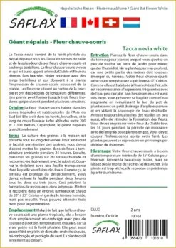 Kit De Culture - Géant Népalais - Fleur Chauve-souris - 10 Graines - Tacca Nevia White 8 Kit De Culture - Géant Népalais - Fleur Chauve-souris - 10 Graines - Tacca Nevia White -Jardinoux Soldes Magasin 640641cb3c2931.45314096