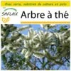 Kit De Culture - Arbre à Thé - 400 Graines - Melaleuca Alternifolia -Jardinoux Soldes Magasin 640641cc6b35d8.56571998