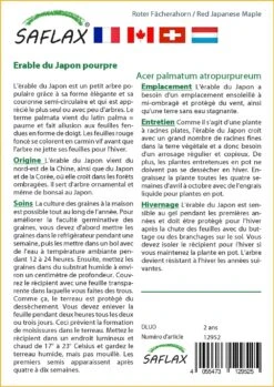 Kit De Culture - Erable Du Japon Pourpre - 20 Graines - Acer Palmatum Atropurpureum -Jardinoux Soldes Magasin 640641d837b750.91534800