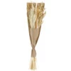 Bouquet Fleurs Séchées Naturelles Aurora (lot De 2) -Jardinoux Soldes Magasin 6409defedd8a50.68576191