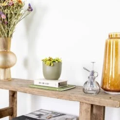 Dionaea Muscipula – Plante Carnivore – Peu D'entretien – ⌀12 Cm – ↕10-15 Cm -Jardinoux Soldes Magasin 640b20a5e78e48.00125916