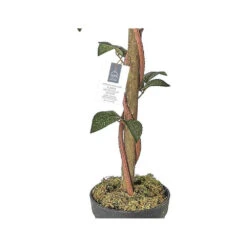 Rosier Artificiel En Pot 90 Cm -Jardinoux Soldes Magasin 640b7501c038f6.48008160