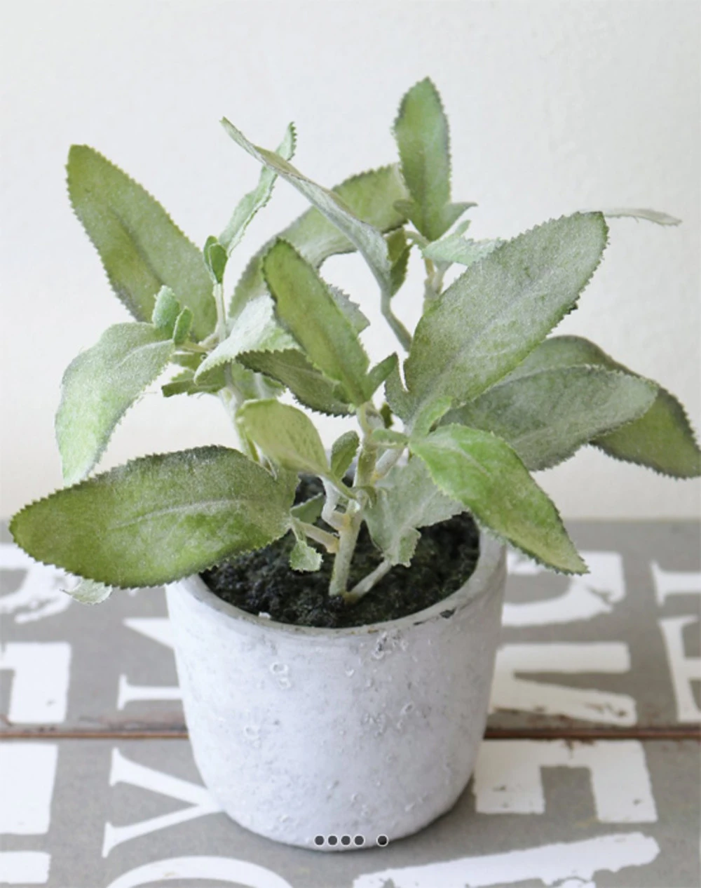 Herbe Aromatique Artificielle Sauge H 17 Cm, D 16cm 3 Herbe Aromatique Artificielle Sauge H 17 Cm, D 16cm