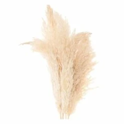 6 Herbes De Palma Séchées Naturelles 7 6 Herbes De Palma Séchées Naturelles -Jardinoux Soldes Magasin 64258467cf48a9.13929074