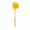 Lagurus Séchés Jaune - 45 Cm -Jardinoux Soldes Magasin 6425846d996c06.51402139