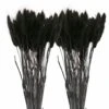 12 Tiges De Lagurus Séchés Noirs - 45 Cm -Jardinoux Soldes Magasin 64258471449766.84893282