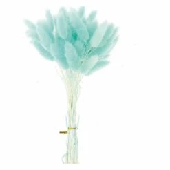 12 Tiges De Lagurus Séchés Turquoise - 45 Cm -Jardinoux Soldes Magasin 64258475e8f6e1.41417040
