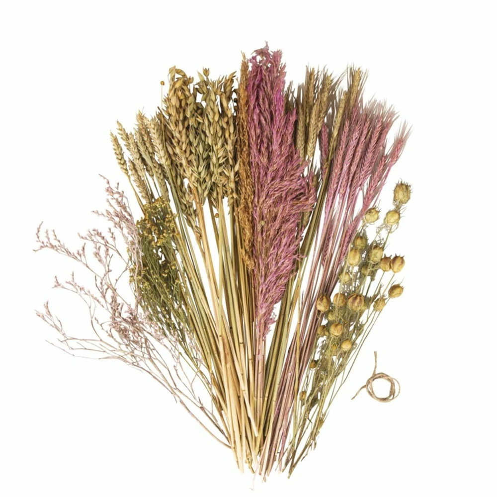 Assortiment De Fleurs Séchées 3 Assortiment De Fleurs Séchées