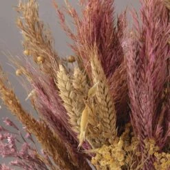 Assortiment De Fleurs Séchées 13 Assortiment De Fleurs Séchées -Jardinoux Soldes Magasin 6425847a202a54.72738169