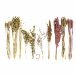 Assortiment De Fleurs Séchées 12 Assortiment De Fleurs Séchées -Jardinoux Soldes Magasin 6425847a28e7c1.91892144