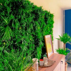 Mur Végétal Artificiel Fougère Dense Prix/m² -Jardinoux Soldes Magasin 646fa622a2f0f1.08571637