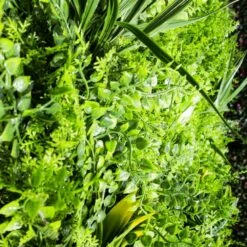 Mur Végétal Artificiel Fougère Dense Prix/m² -Jardinoux Soldes Magasin 646fa622a757c6.13018521