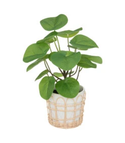 ATMOSPHERA Plante Artificielle Dans Pot En Céramique Et Rotin H 34 Cm