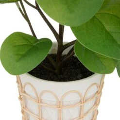ATMOSPHERA Plante Artificielle Dans Pot En Céramique Et Rotin H 34 Cm -Jardinoux Soldes Magasin 64821b77f1afd7.11595530
