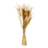 ATMOSPHERA Bouquet De Fleurs Séchées D. 20 X H. 55 Cm -Jardinoux Soldes Magasin 64821bb870a261.80419617