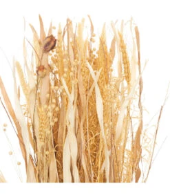 ATMOSPHERA Fagot De Fleurs Et Tiges Séchées D. 25 X H. 115 Cm -Jardinoux Soldes Magasin 64821bbdf34e96.52846136