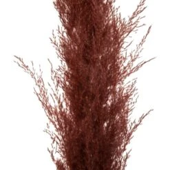 Set De 3 Fleurs Séchées "pampa Naturelle" - H110 Cm -Jardinoux Soldes Magasin 6483186e51d3d2.05693830