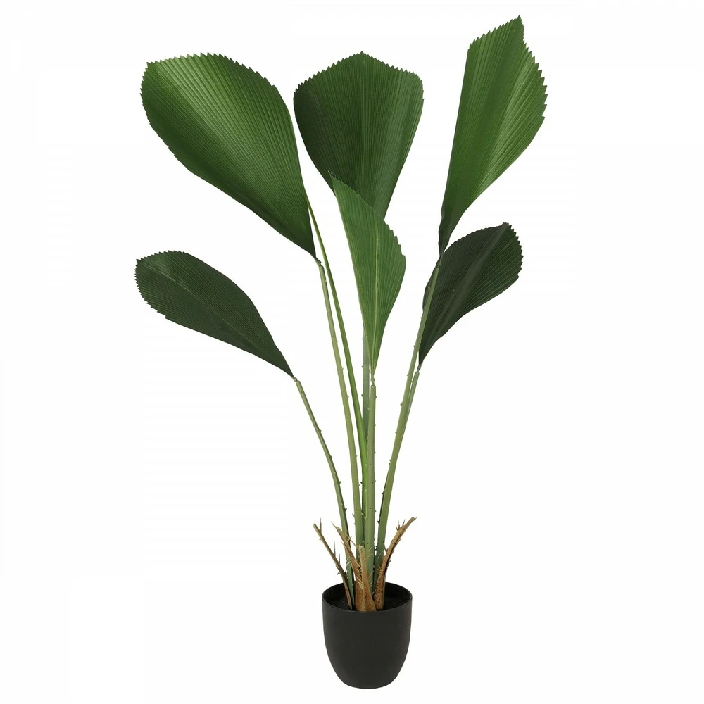 Palmier Artificiel Cuillère Licuala 110cm 4 Palmier Artificiel Cuillère Licuala 110cm – Image 2
