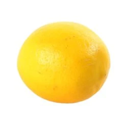 Citronnier X Meyer : AB C3L -Jardinoux Soldes Magasin 697337 007