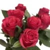 Botte De 7 Roses Rhodos Rouges -Jardinoux Soldes Magasin 748900 006