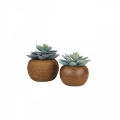Succulente Artificielle Pot Bois 15cm Lot De 2 -Jardinoux Soldes Magasin 82538564fc8c5857