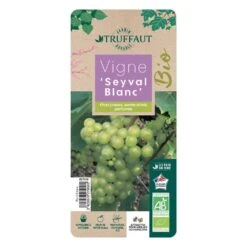 Vigne 'Seyval Blanc' AB - Pot 1,5 L -Jardinoux Soldes Magasin 827056 002