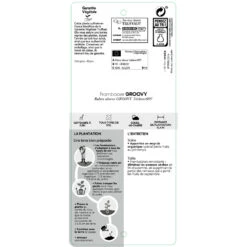 Framboisier Groovy®'Jdeboer005':pot 5L -Jardinoux Soldes Magasin 831270 1432924