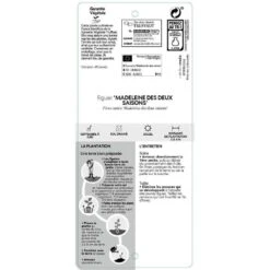 Figuier 'Madeleine Des 2 Saisons':pot 5L -Jardinoux Soldes Magasin 831275 002