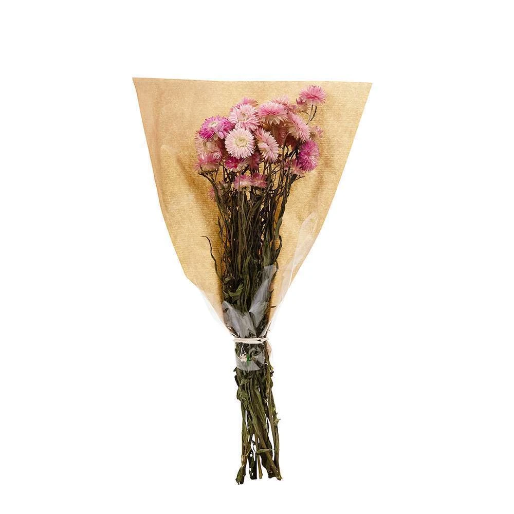 Bouquet De Fleurs Séchées Helichrysum Rose 3 Bouquet De Fleurs Séchées Helichrysum Rose – Image 2