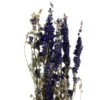 Bouquet De Fleurs Séchées Delphinium -Jardinoux Soldes Magasin 837661 1697305