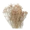 Fleurs Séchées Gypsophile Blanc -Jardinoux Soldes Magasin 876324 001