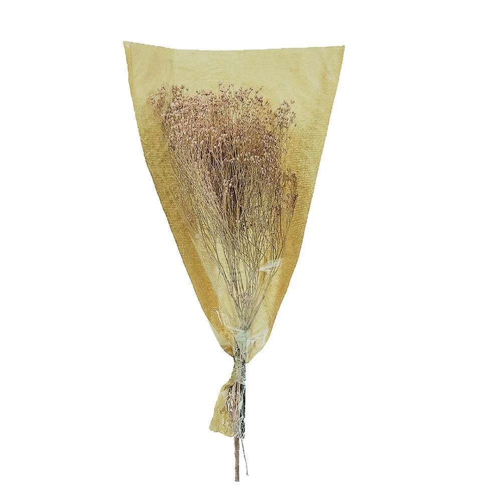 Fleurs Séchées Gypsophile Blanc 4 Fleurs Séchées Gypsophile Blanc – Image 2