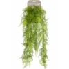 Emerald Asperges Plumosus Artificielle 80 Cm -Jardinoux Soldes Magasin 8ed81fd435ef0b6d