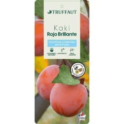 Kaki 'Rouge Brillant 1/2T Pot 15L -Jardinoux Soldes Magasin 952752 002
