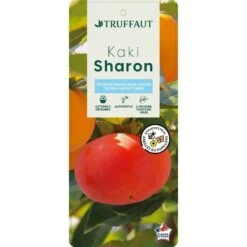 Kaki "Sharon" 1/2T Pot 15L -Jardinoux Soldes Magasin 952753 003