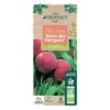 Pêcher Reine Des Vergers Bio, Gobelet 2 Ans -Jardinoux Soldes Magasin 952756 008