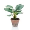Emerald Calathea Orbifolia Artificiel Terra 32 Cm En Pot -Jardinoux Soldes Magasin ac5e1c411b53827f