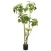 Emerald Arbre Polyscias Artificiel 135 Cm 420292 -Jardinoux Soldes Magasin ad1ad30c1036b853