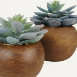 Succulente Artificielle Pot Bois 15cm Lot De 2 -Jardinoux Soldes Magasin b95dd14e3affb248
