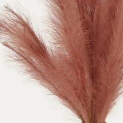 Plumeau Artificiel Terracotta 110cm Lot De 3 -Jardinoux Soldes Magasin c4332bdda24780af