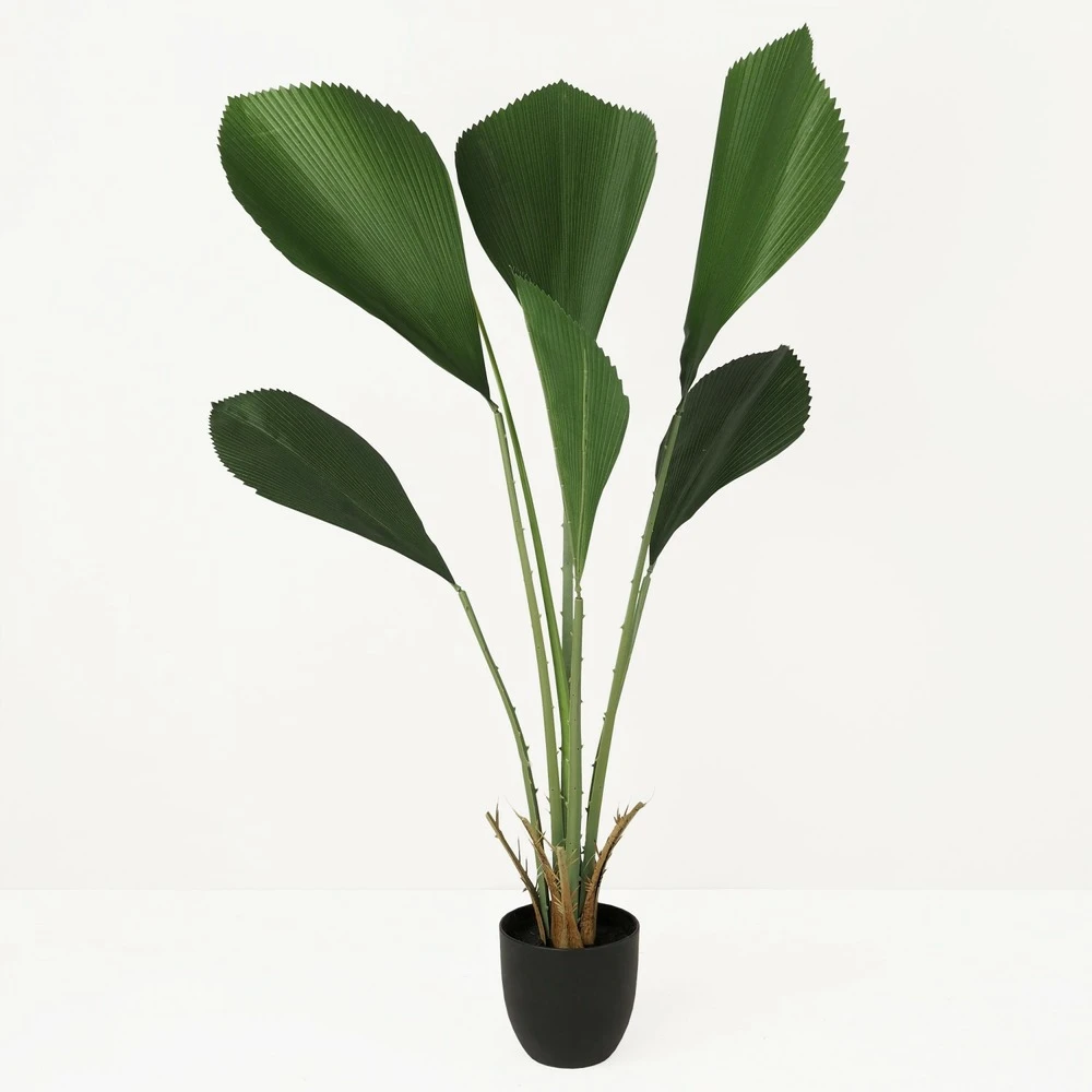 Palmier Artificiel Cuillère Licuala 110cm 3 Palmier Artificiel Cuillère Licuala 110cm