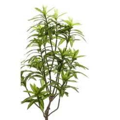 Emerald Arbre Dracaena Artificiel Vert 130 Cm 419843 6 Emerald Arbre Dracaena Artificiel Vert 130 Cm 419843 -Jardinoux Soldes Magasin f0ca1b753200d217