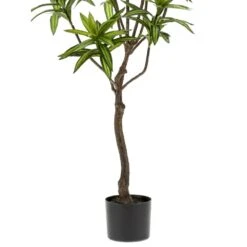 Emerald Arbre Dracaena Artificiel Vert 130 Cm 419843 7 Emerald Arbre Dracaena Artificiel Vert 130 Cm 419843 -Jardinoux Soldes Magasin f3e2037316c69fb8